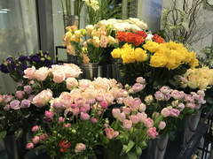 Chuyện chưa từng có: Giá hoa 8/3 giảm mạnh 