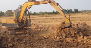 Ảnh: Dân cào bán đất phù sa trên mặt ruộng giữa hạn mặn khốc liệt