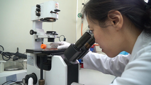 Video: Cuộc chiến bên trong phòng xét nghiệm người mắc Covid-19 ở Hà Nội