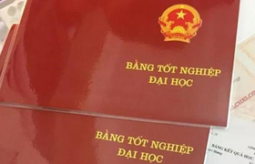 Không có bằng đại học, con trai lãnh đạo huyện vẫn được tuyển vào Ban Tổ chức Thị ủy