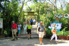 Phòng Covid-19, hai tỉnh miền Tây tạm dừng tiếp nhận du khách nước ngoài