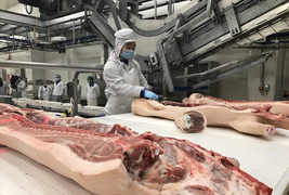 Giá lợn hơi khó xuống 70.000 đồng/kg?