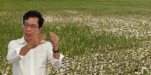 Chuyên gia: Hạn mặn khốc liệt ở ĐBSCL có thể dự báo trước nhiều tháng