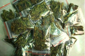 Bắt đối tượng trồng, chế biến cần sa tại Lâm Đồng