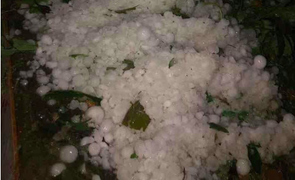 Video: Mưa đá dội xuống Lào Cai tàn phá hoa màu và tài sản