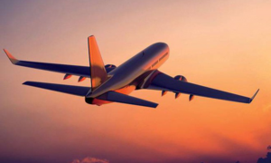 Infographic: Bao nhiêu chuyến bay có hành khách nhiễm virus corona tại Việt Nam?