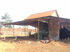 Gia Lai: Dân điêu đứng khi chủ cơ sở thu mua cà phê bỏ trốn