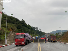 Ùn tắc hàng hoá tại cửa khẩu: Kiến nghị lập ngay quy trình thống nhất kiểm dịch y tế