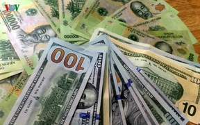 USD tăng giá, lên đỉnh 3 năm