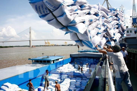 Việt Nam có nguy cơ thiếu gạo nếu xuất khẩu tiếp tục tăng