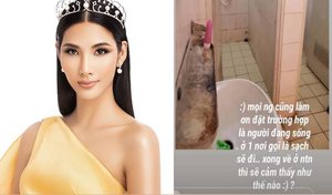 Du học sinh chê khu cách ly, Á hậu Hoàng Thuỳ: Trải nghiệm thay vì than trách