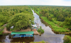 Ảnh: 'Canh lửa' phòng cháy rừng ở U Minh Hạ