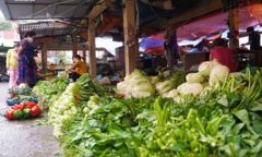 Ngày đầu Hà Nội tạm đóng cửa hàng dịch vụ không thiết yếu: Dồi dào hàng hóa ở chợ