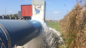 Long An: Bơm nước cứu 1.000 ha lúa