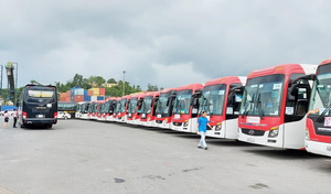 Đà Nẵng dừng cấp phép liên vận đường bộ với Lào, Campuchia