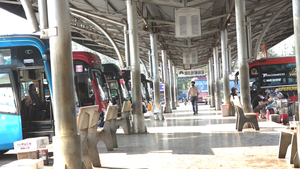 Video: Bến xe Đắk Lắk vắng khách, nhà xe dừng hoạt động