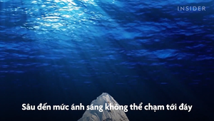 Video: Bí ẩn bên dưới rãnh Mariana - nơi sâu nhất Trái đất