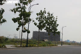 TP.HCM xin ý kiến Bộ Xây dựng để sáp nhập 3 quận phía Đông