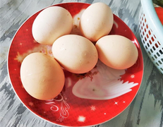 Truy tìm kẻ tung tin thất thiệt 'ăn trứng gà sống chống dịch Covid-19'