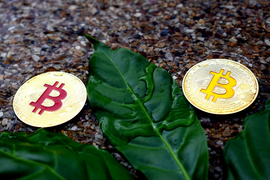 Giá Bitcoin hôm nay 9/9: Thị trường ‘nhuốm máu’, Bitcoin bị thổi bay 4 tỷ USD