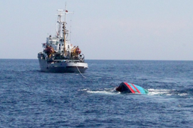 Phản đối Trung Quốc đâm chìm tàu cá Quảng Ngãi ở Hoàng Sa