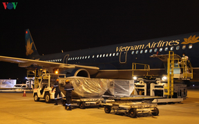 Việt Nam gửi 4,8 tấn hàng viện trợ giúp Lào chống dịch Covid-19 