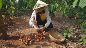 H'Hen Niê: 'Làm hoa hậu xong mới có người vớt, nhẹ hết cả người'