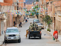 Sự thật bức ảnh chú chó chạy theo đoàn xe tuần tra chống dịch