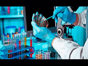 Tại sao hydroxychloroquine lại được nghiên cứu trong điều trị Covid-19?