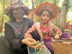  Bỏ túi bạc triệu mỗi ngày nhờ đi săn ‘tôm rừng’ Tây Nguyên