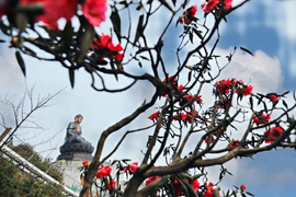 Tan chảy trái tim với thiên đường đỗ quyên trên đỉnh thiêng Fansipan 