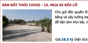 Lợi dụng COVID-19, 'cò' rao thông tin thất thiệt, dụ khách mua đất 