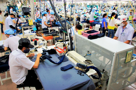 Đề xuất chi gần 225 tỷ đồng hỗ trợ người bị ảnh hưởng dịch COVID-19 ở Đà Nẵng