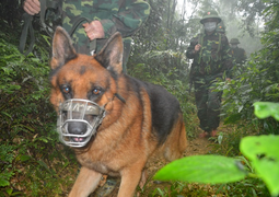 Vũ khí đặc biệt của bộ đội biên phòng chống COVID-19 nơi tuyến đầu biên giới