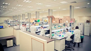 Israel sẽ có vaccine phòng COVID-19 trong vài tuần tới