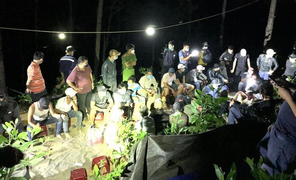 Tạm giữ hình sự 18 con bạc sát phạt nhau trong rừng phòng hộ giữa dịch COVID-19