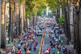 Video: Kiến nghị cách ly xã hội đến hết tháng 4/2020