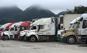 Đề xuất tạm dừng tiếp nhận hàng xuất khẩu lên cửa khẩu Tân Thanh