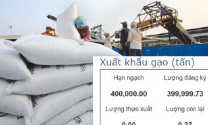 Ham xuất khẩu, nhiều doanh nghiệp 'bùng' bán gạo cho dự trữ nhà nước