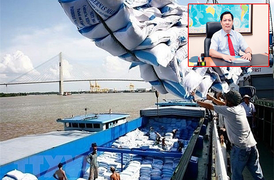 Doanh nghiệp ‘bùng’ hợp đồng gạo dự trữ quốc gia bị tịch thu tiền bảo lãnh