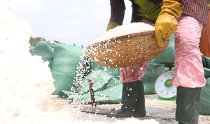 Bán 50kg muối chỉ đủ mua 2kg gạo, diêm dân Sa Huỳnh khóc ròng