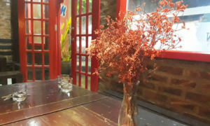 Mẹ chồng, nàng dâu ‘từ mặt’ vì thói quen thơm má trẻ