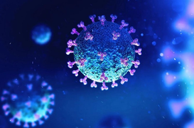 Virus corona chủng mới xuất hiện từ tháng 9/2019, không phải ở Vũ Hán?