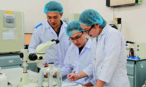 Không thi THPT quốc gia, nhiều trường Y dược sẽ thi riêng, không xét học bạ