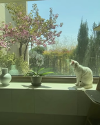 Không gian sống của vợ chồng Tae Yang (Big Bang)