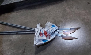 Khống chế 2 thanh niên xăm trổ mang dao 'phóng lợn' vượt chốt kiểm dịch ở Hà Nội