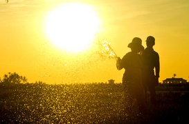 Nắng nóng kỷ lục trong năm 2020