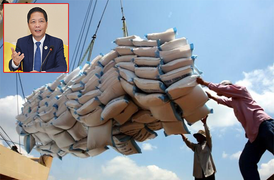 Xuất khẩu gạo thời COVID-19: Hai Bộ Công Thương, Tài chính 'đối nhau chan chát'