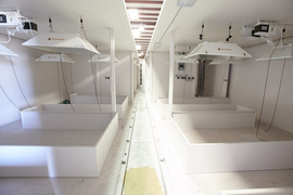 Sợ COVID-19, nhà giàu Mỹ đổ tiền mua hầm trú ẩn dưới lòng đất