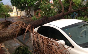 Mưa đá, giông lốc tại Kon Tum làm cây xanh bật gốc đè ô tô